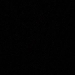 Meet your Posher, Abigail